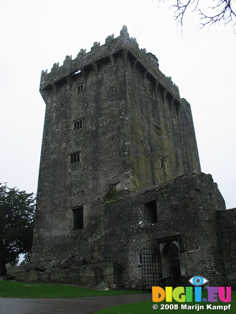 24813 Blarney Castle